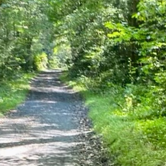 Meet your Posher, Kirstin - Picture 1 of 1